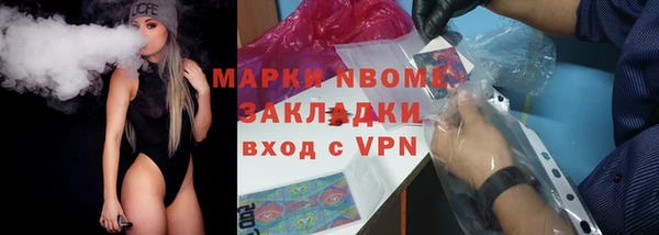 стаф Алексин