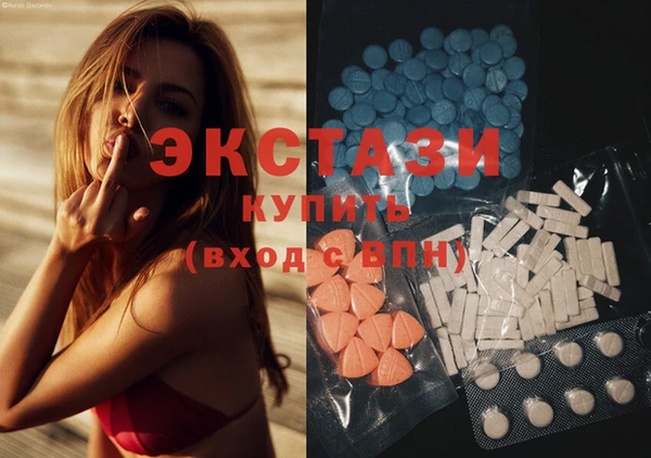 стаф Алексин
