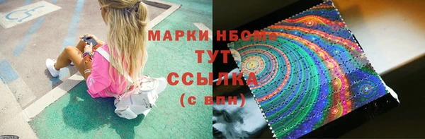 стаф Алексин