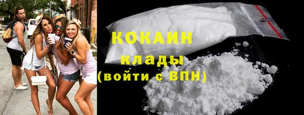 стаф Алексин